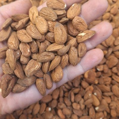 مغز بادام شاهرودی بدون تلخی