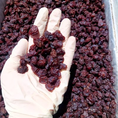 مویز گوهی استهبان